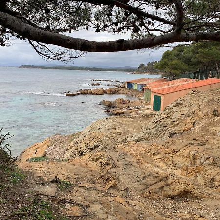 T2 Climatise A L'Ile D'Or Avec Piscine Pres De La Plage 라론드레모레 외부 사진